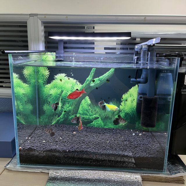 yee什么牌子魚缸：yee品牌魚缸怎么樣？