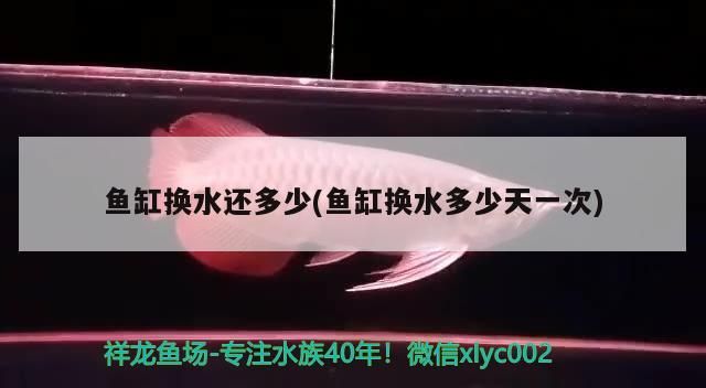 彩蝶魚缸圖片欣賞圖大全大圖（彩蝶魚缸f款怎么樣）