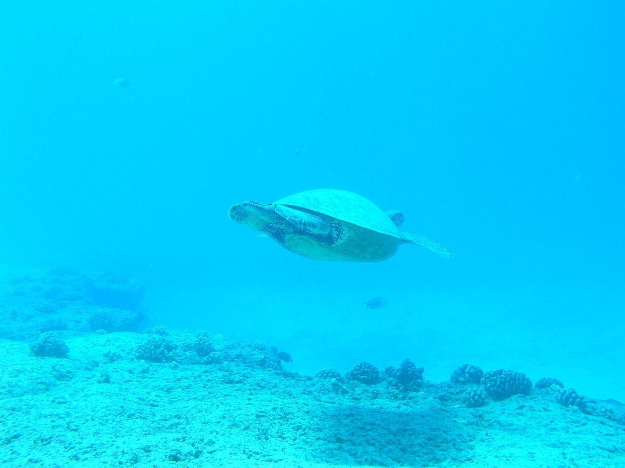 蘇州專業做魚缸的店鋪有哪些（蘇州哪里有定做魚缸的）