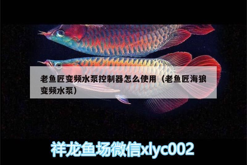 老魚匠變頻水泵控制器怎么使用（老魚匠海狼變頻水泵）