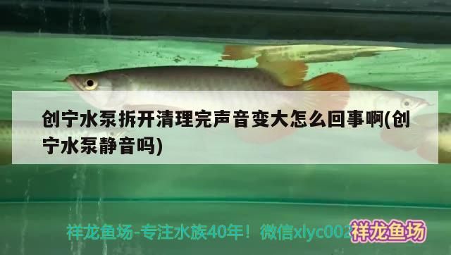 創寧水泵拆開清理完聲音變大怎么回事啊(創寧水泵靜音嗎)