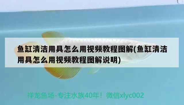 臺州市路橋區方源魚缸店 臺州市路橋區方源魚缸店 全國水族館企業名錄 第2張