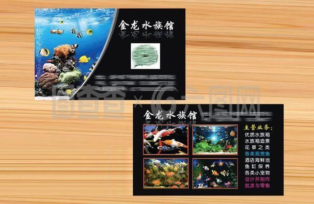 水族館主營業務是什么（水族館主營業務）