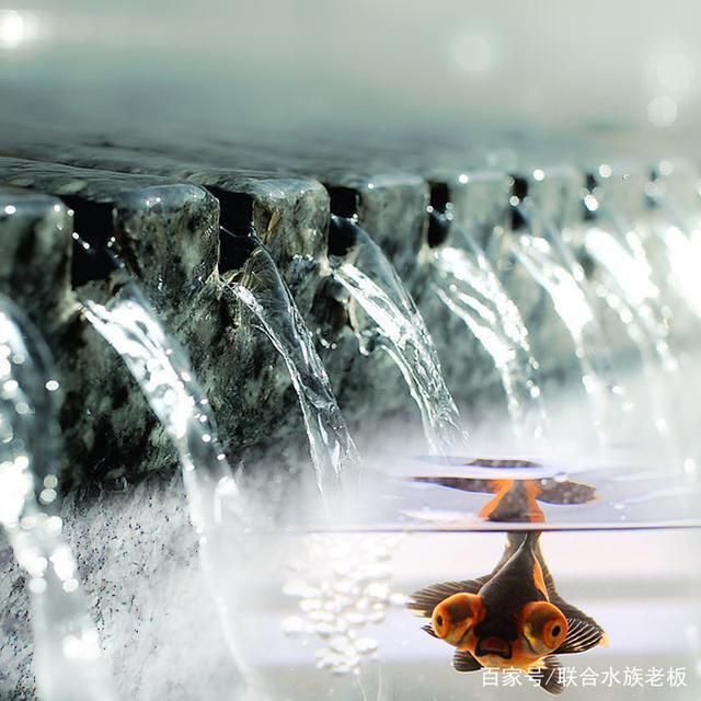 水族館魚缸過濾系統怎么用(水族館魚缸過濾系統使用注意事項) 水族館百科(水族館加盟) 第1張 水族館魚缸過濾系統怎么用(水族館魚缸過濾系統使用注意事項) 水族館魚缸過濾系統怎么用(水族館魚缸過濾系統使用注意事項) 水族館百科(水族館加盟) 第1張