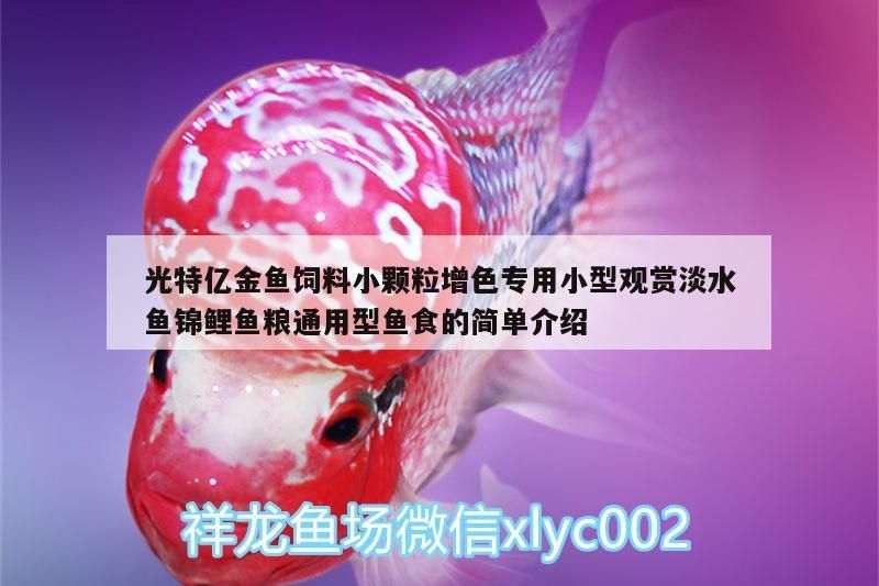 光特億金魚飼料小顆粒增色專用小型觀賞淡水魚錦鯉魚糧通用型魚食的簡單介紹