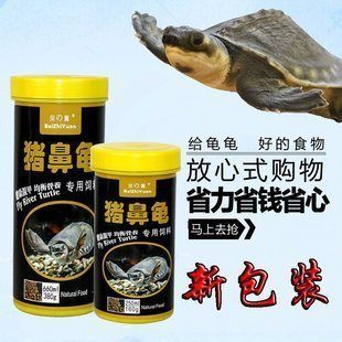 豬鼻龜喂食器：豬鼻龜怎么喂食 豬鼻龜喂食器：豬鼻龜怎么喂食 豬鼻龜百科 第8張