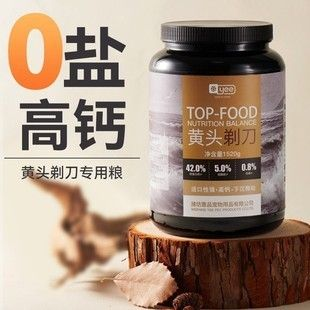 豬鼻龜喂食器：豬鼻龜怎么喂食 豬鼻龜喂食器：豬鼻龜怎么喂食 豬鼻龜百科 第11張