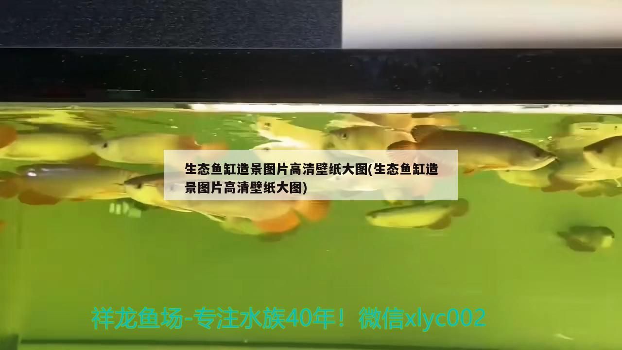 魚缸用增氧泵價(jià)格是多少:魚缸增氧機(jī)-xtrac增氧機(jī)-xtrac增氧機(jī) 生態(tài)魚缸造景圖片高清壁紙大圖(生態(tài)魚缸造景圖片高清壁紙大圖) iwish愛唯希品牌魚缸 生態(tài)魚缸造景圖片高清壁紙大圖(生態(tài)魚缸造景圖片高清壁紙大圖) 生態(tài)魚缸造景圖片高清壁紙大圖(生態(tài)魚缸造景圖片高清壁紙大圖) iwish愛唯希品牌魚缸