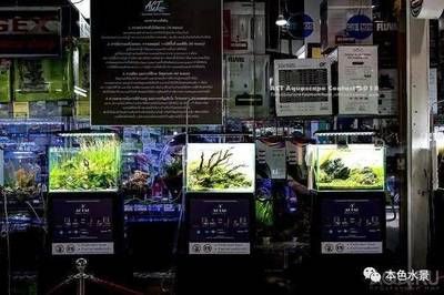 想開個水族館怎么開店賺錢（開設一家水族館的詳細指南） 想開個水族館怎么開店賺錢（開設一家水族館的詳細指南） 水族館百科（水族館加盟） 第5張