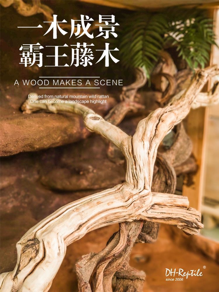 爬寵架 爬寵架 龍魚論壇 第1張