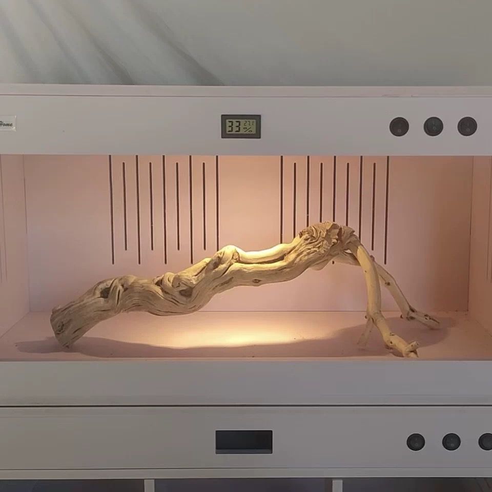 爬寵架 爬寵架 龍魚論壇 第9張