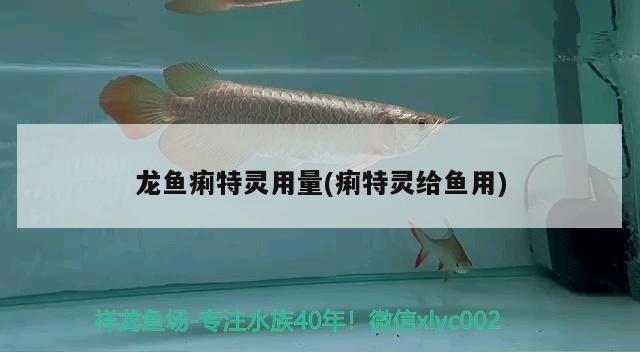 龍魚外寄用藥量是多少vs祥龍魚場：龍魚外寄用藥量是多少vs祥龍魚場藥品評價龍魚外寄預防措施 龍魚外寄用藥量是多少vs祥龍魚場：龍魚外寄用藥量是多少vs祥龍魚場藥品評價龍魚外寄預防措施 vs祥龍魚場 第5張