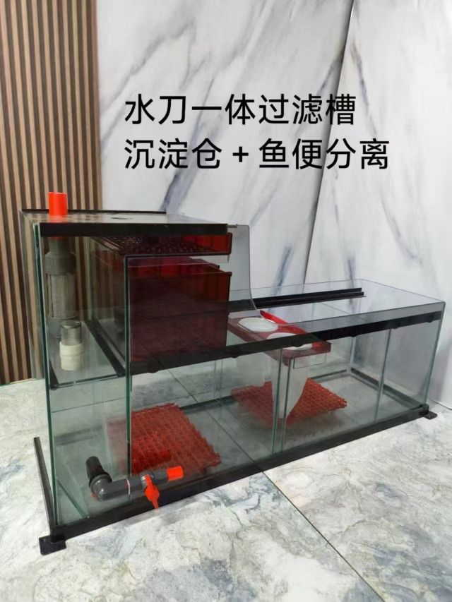 這過濾槽厲害 這過濾槽厲害 龍魚論壇