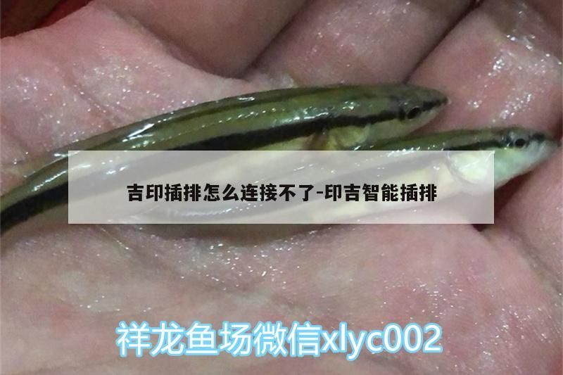 吉印插排怎么連接不了:印吉智能插排