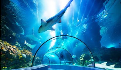 水族館景點（上海海洋水族館） 水族館景點（上海海洋水族館） 水族館百科（水族館加盟） 第2張