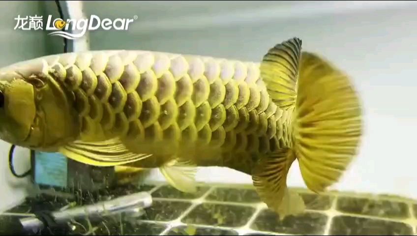 轉發(fā)632