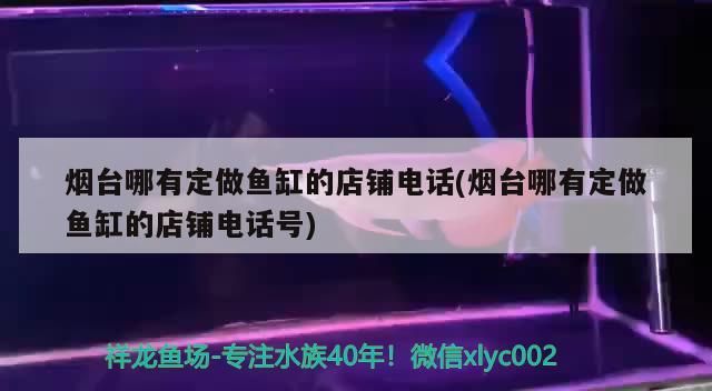 煙臺(tái)哪有定做魚缸的店鋪電話(煙臺(tái)哪有定做魚缸的店鋪電話號(hào))