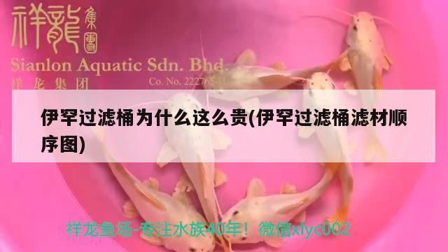 伊罕過(guò)濾桶為什么這么貴(伊罕過(guò)濾桶濾材順序圖)