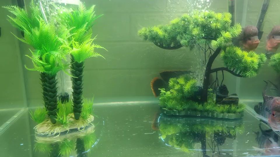 懷化魚缸清洗公司電話多少：懷化魚缸店