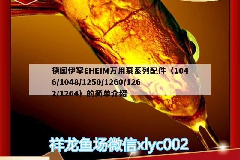 魚(yú)缸用增氧泵價(jià)格是多少:魚(yú)缸增氧機(jī)-xtrac增氧機(jī)-xtrac增氧機(jī) 德國(guó)伊罕EHEIM萬(wàn)用泵系列配件(1046/1048/1250/1260/1262/1264)的簡(jiǎn)單介紹 伊罕水族 德國(guó)伊罕EHEIM萬(wàn)用泵系列配件(1046/1048/1250/1260/1262/1264)的簡(jiǎn)單介紹 德國(guó)伊罕EHEIM萬(wàn)用泵系列配件(1046/1048/1250/1260/1262/1264)的簡(jiǎn)單介紹 伊罕水族