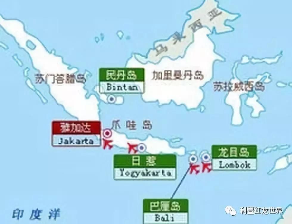 紅龍魚體型塑造方法：紅龍魚體型塑造的具體方法