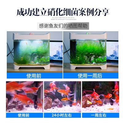 海豚魚缸圖片:關于海豚魚缸的一些圖片和詳情 魚缸百科 第5張 海豚魚缸圖片:關于海豚魚缸的一些圖片和詳情 海豚魚缸圖片:關于海豚魚缸的一些圖片和詳情 魚缸百科 第5張