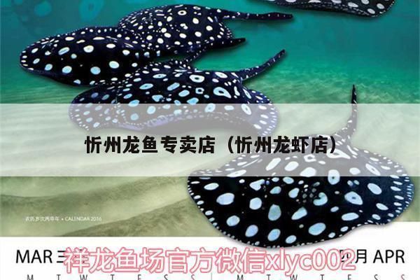 龍魚 百科vs祥龍魚場：祥龍魚場是一種熱帶淡水觀賞魚養殖技術要點