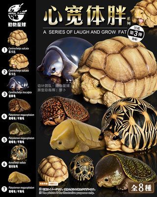 豬鼻龜擺件圖片：豬鼻龜擺件的圖片和細節設計吸引了眾多收藏者的目光 豬鼻龜擺件圖片：豬鼻龜擺件的圖片和細節設計吸引了眾多收藏者的目光 豬鼻龜百科 第8張