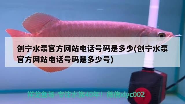 創寧水泵官方網站電話號碼是多少(創寧水泵官方網站電話號碼是多少號)