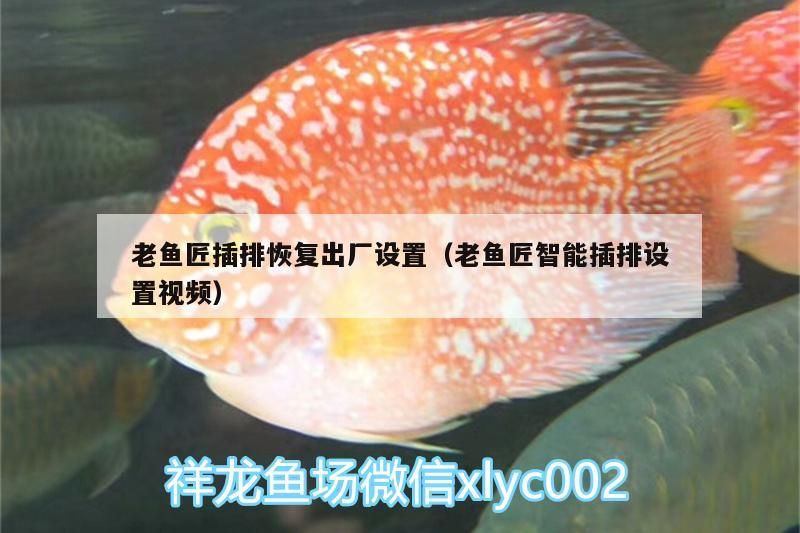 老魚匠插排恢復出廠設置（老魚匠智能插排設置視頻） 老魚匠插排恢復出廠設置（老魚匠智能插排設置視頻） 老魚匠