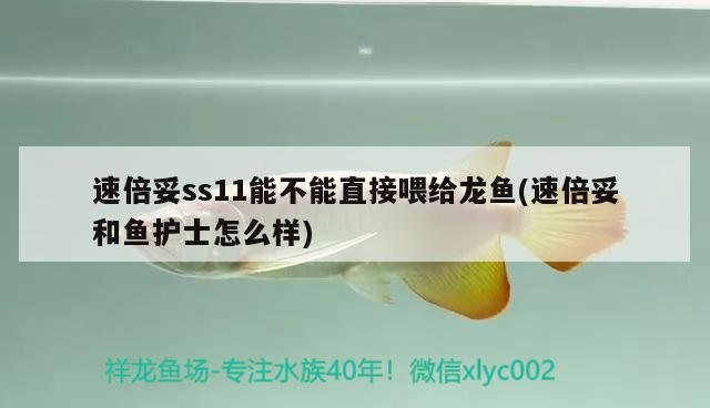 魚缸 速倍妥ss11能不能直接喂給龍魚(速倍妥和魚護士怎么樣) 速倍妥 速倍妥ss11能不能直接喂給龍魚(速倍妥和魚護士怎么樣) 速倍妥ss11能不能直接喂給龍魚(速倍妥和魚護士怎么樣) 速倍妥