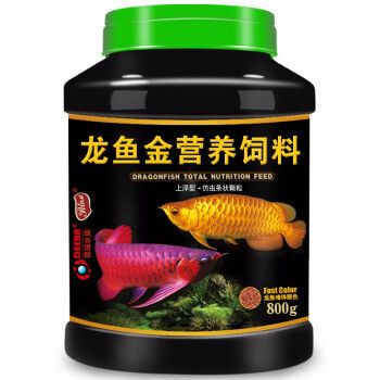 紅龍魚增色飼料用戶評價：紅龍魚增色飼料性價比分析