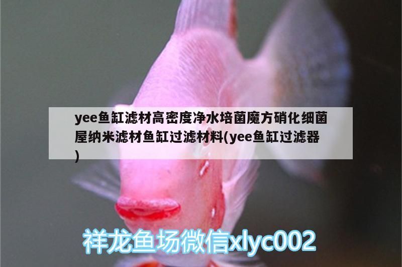 yee魚缸濾材高密度凈水培菌魔方硝化細(xì)菌屋納米濾材魚缸過濾材料(yee魚缸過濾器)