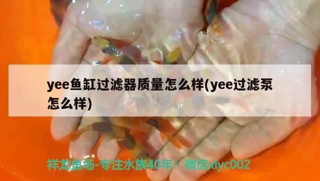 滁州魚缸定制店電話號碼：打造個性化魚缸，滁州魚缸定制店地址電話號碼：打造個性化魚缸 滁州魚缸定制店電話號碼：打造個性化魚缸，滁州魚缸定制店地址電話號碼：打造個性化魚缸 錦鯉魚百科 第3張