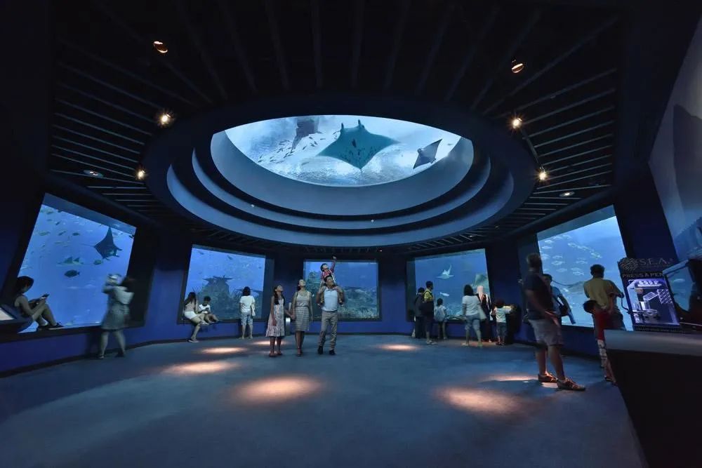 水族館發展現狀怎么寫（關于水族館發展現狀的建議）
