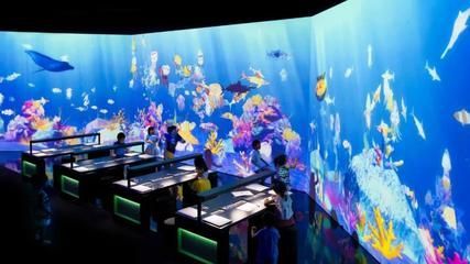 全國(guó)最好的水族館（全國(guó)最好的水族館——北京海洋館）