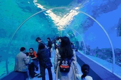 全國(guó)最好的水族館（全國(guó)最好的水族館——北京海洋館）