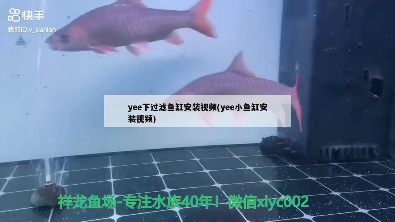 yee下過濾魚缸安裝視頻(yee小魚缸安裝視頻)