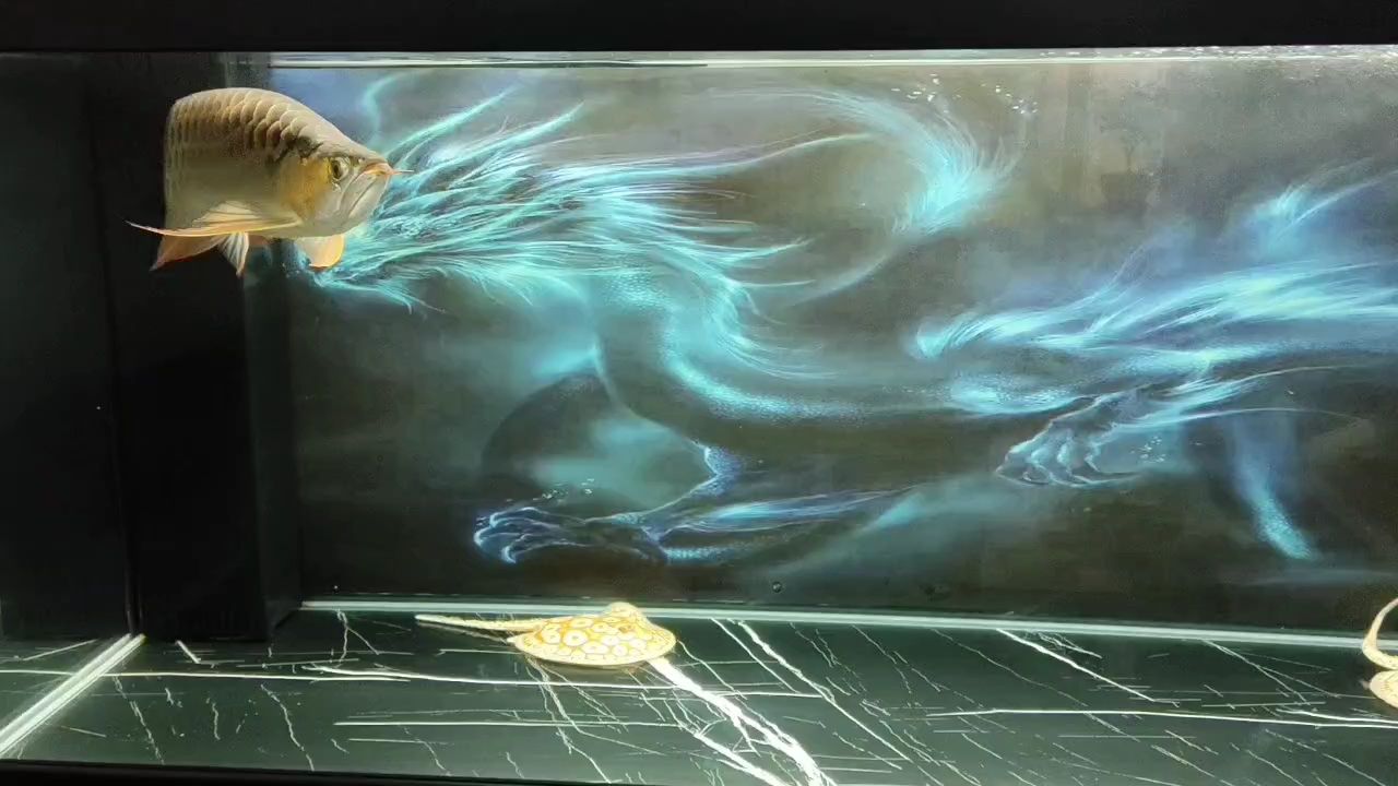 肥龍