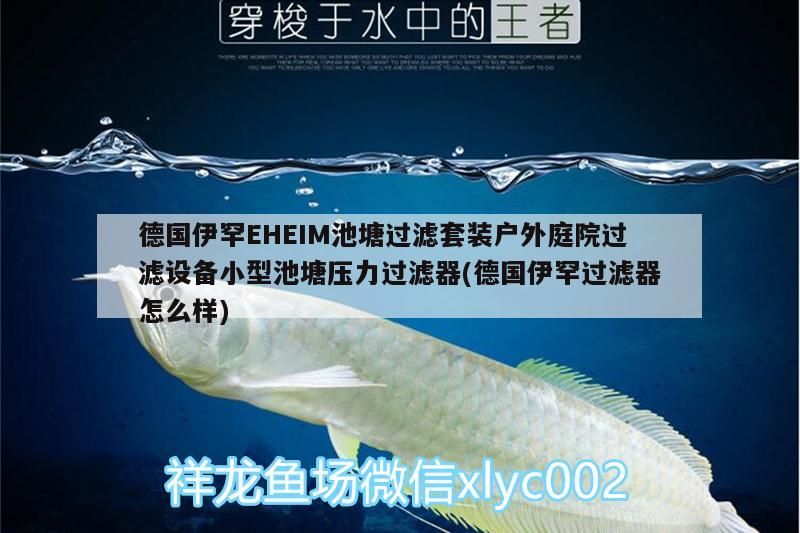 德國伊罕EHEIM池塘過濾套裝戶外庭院過濾設備小型池塘壓力過濾器(德國伊罕過濾器怎么樣) 德國伊罕EHEIM池塘過濾套裝戶外庭院過濾設備小型池塘壓力過濾器(德國伊罕過濾器怎么樣) 伊罕水族
