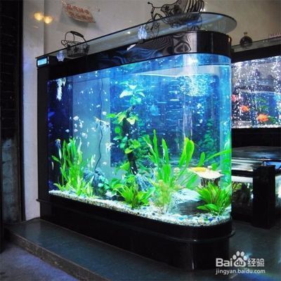 水族館管理中溫度控制技巧 水族館管理中溫度控制技巧 水族館百科（水族館加盟） 第1張