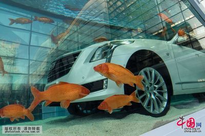 4mm的玻璃能做魚缸嗎：4mm的魚缸玻璃制作魚缸玻璃厚度應該注意什么 4mm的玻璃能做魚缸嗎：4mm的魚缸玻璃制作魚缸玻璃厚度應該注意什么 魚缸百科 第4張