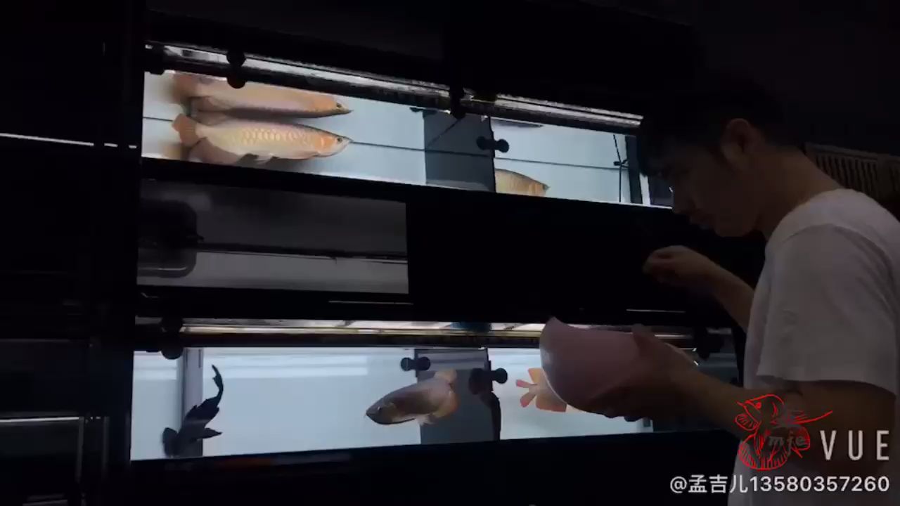 孟吉爾廣州展示廳