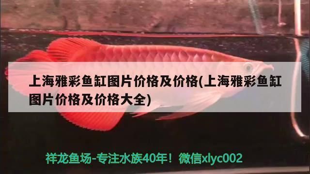 上海雅彩魚缸圖片價格及價格(上海雅彩魚缸圖片價格及價格大全)