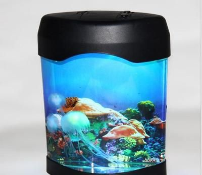 廣州孟吉爾漁場：廣州孟吉爾漁場2018年水族展上首次亮相 廣州孟吉爾漁場：廣州孟吉爾漁場2018年水族展上首次亮相 廣州孟吉爾 第1張