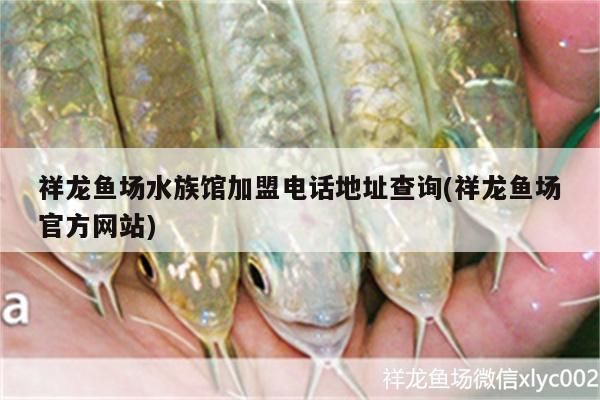 祥龍魚場水族館加盟電話地址查詢(祥龍魚場官方網(wǎng)站) 祥龍魚場水族館加盟電話地址查詢(祥龍魚場官方網(wǎng)站) vs祥龍魚場