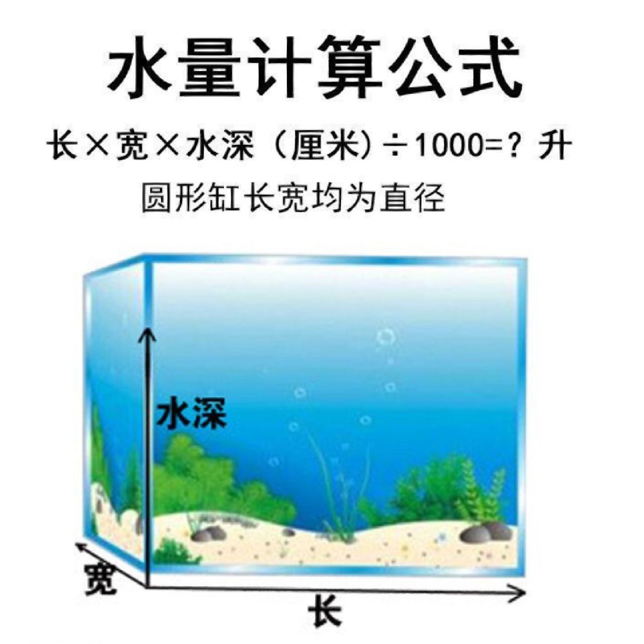80cm魚缸長寬高比例：80cm魚缸的長寬高比例并沒有固定的比例但是有些建議可以幫助您做出選擇 80cm魚缸長寬高比例：80cm魚缸的長寬高比例并沒有固定的比例但是有些建議可以幫助您做出選擇 魚缸百科 第3張