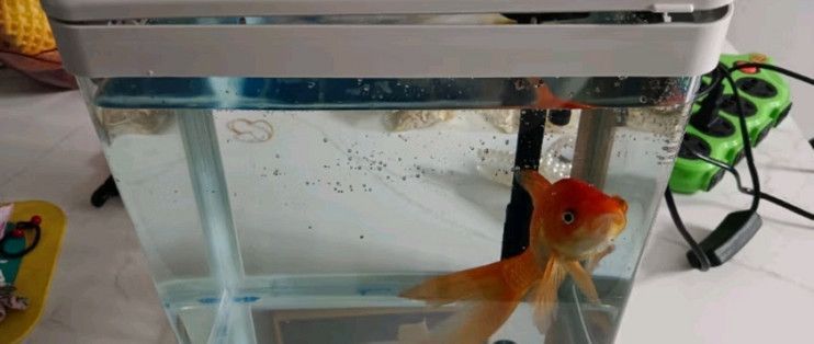 技研精工（JIYJNJINGGONG）魚缸，技研精工i魚v系列魚缸