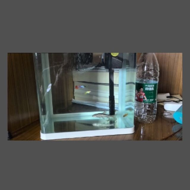 技研精工（JIYJNJINGGONG）魚缸，技研精工i魚v系列魚缸
