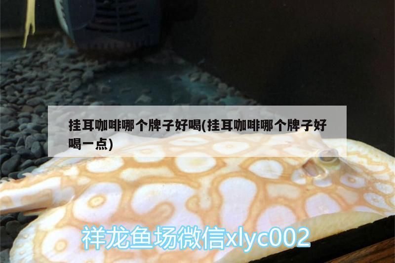 掛耳咖啡哪個牌子好喝(掛耳咖啡哪個牌子好喝一點)